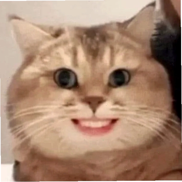 Các meme hài hước khác liên quan