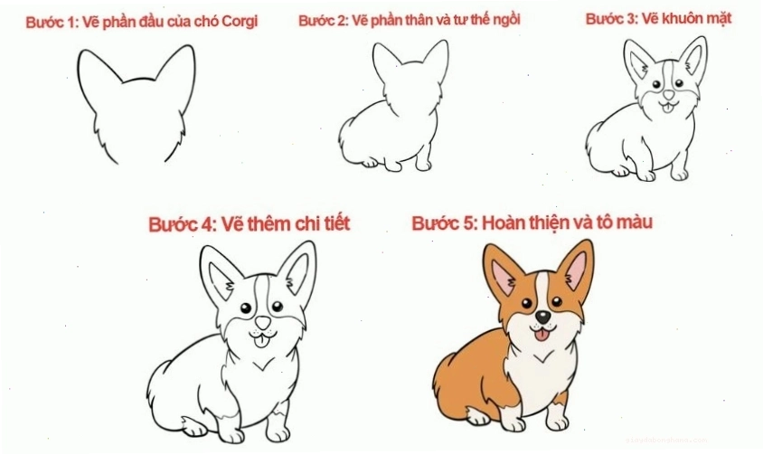 Cách vẽ con chó Cogi dễ thương đơn giản