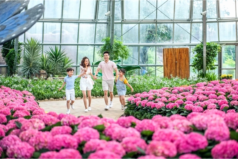Cận cảnh những khối đá xanh lớn được sử dụng để xây dựng tường thành