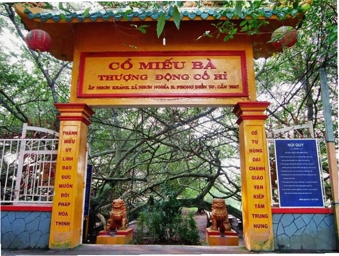 Cận cảnh rễ cây gừa đan xen tại Khu Di Tích Lịch Sử Giàn Gừa