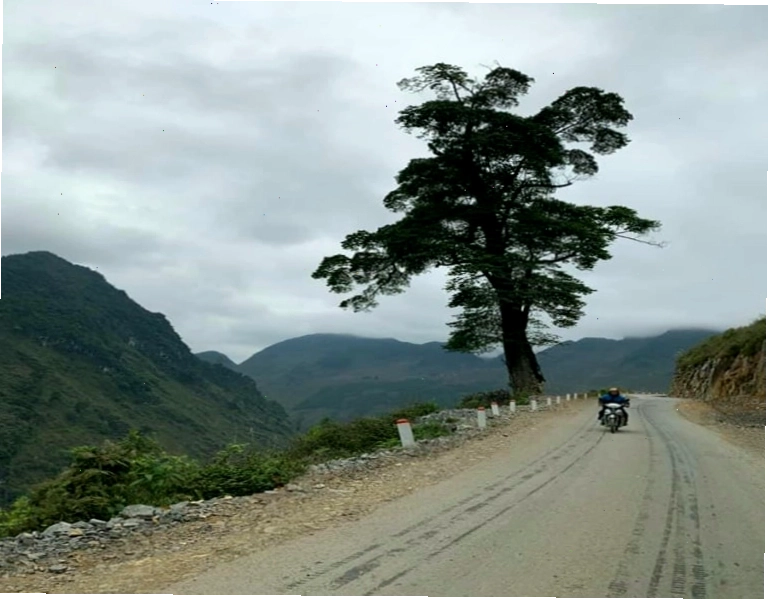 Cảnh quan thiên nhiên của Hà Giang