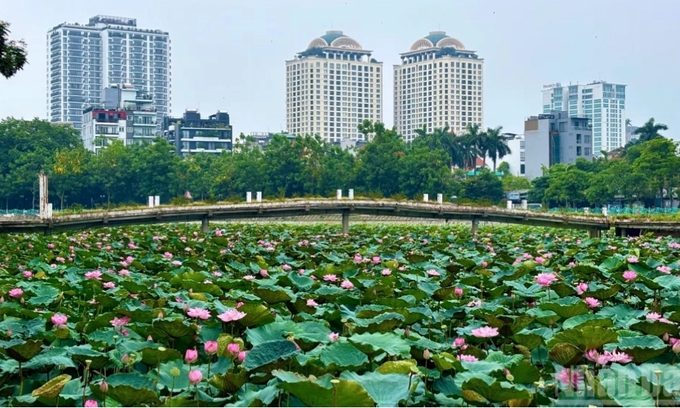 Cảnh quan thiên nhiên tươi đẹp bao quanh quần thể di tích