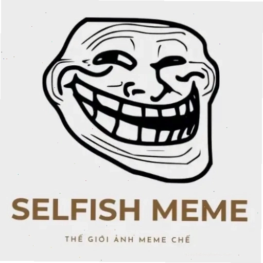 Cặp đôi avatar meme vô tri thể hiện biểu cảm hài hước