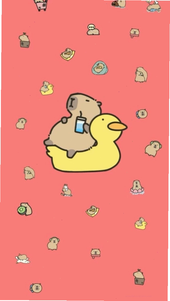 Capybara thư giãn trên phao vịt