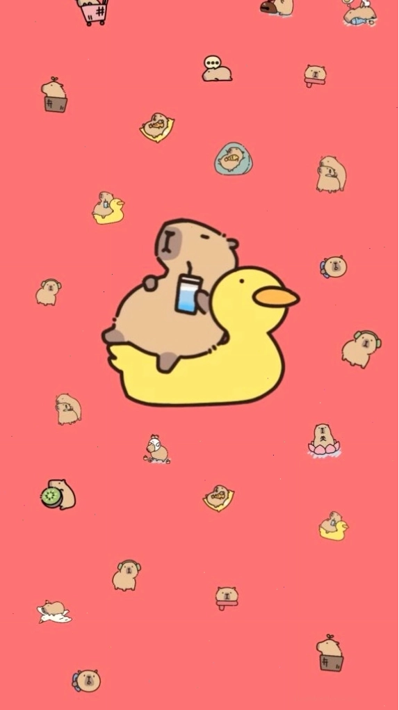 Capybara thư giãn trên phao vịt