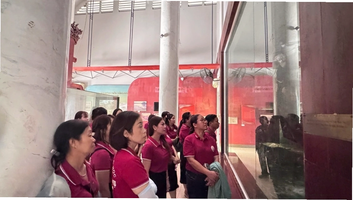 Cây cổ thụ tại Vàm Nhựt Tảo