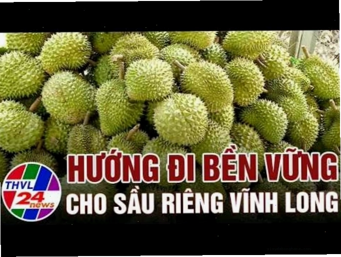 Cây cối xanh tươi bao quanh khu di tích