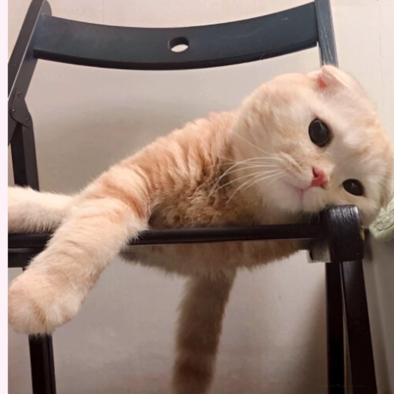 Chibi cố gắng cười dù vẫn cảm thấy uể oải