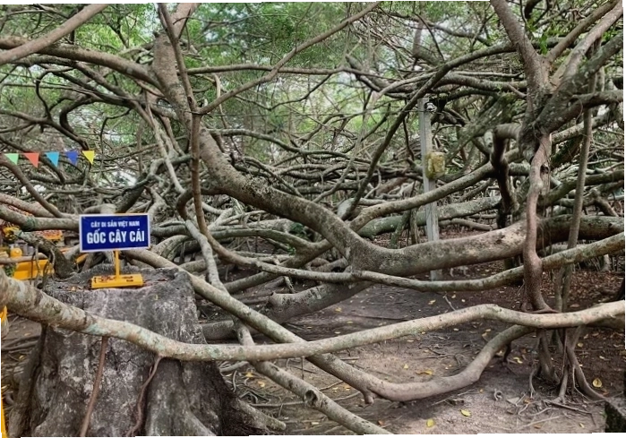 Cổng vào Khu Di Tích Lịch Sử Giàn Gừa