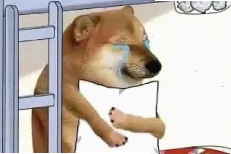 Cười thả ga với meme khuôn mặt thất vọng độc lạ