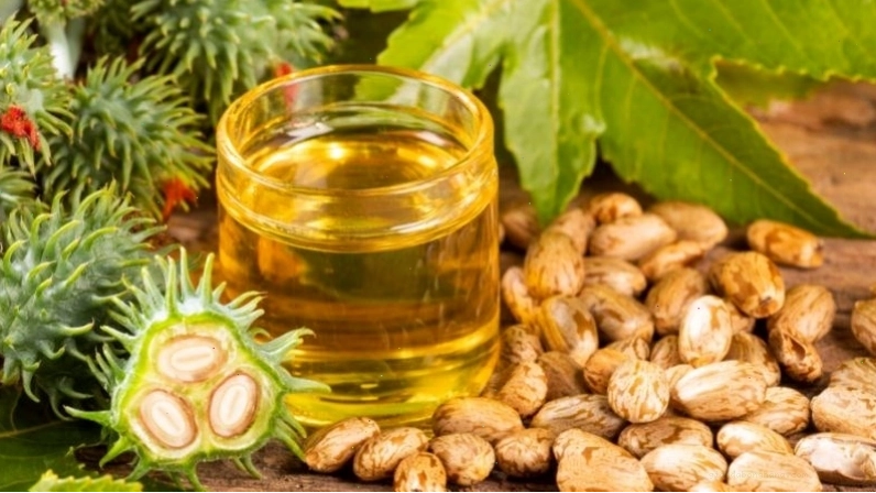 Dầu thầu dầu là nguyên liệu tự nhiên tuyệt vời cho tóc