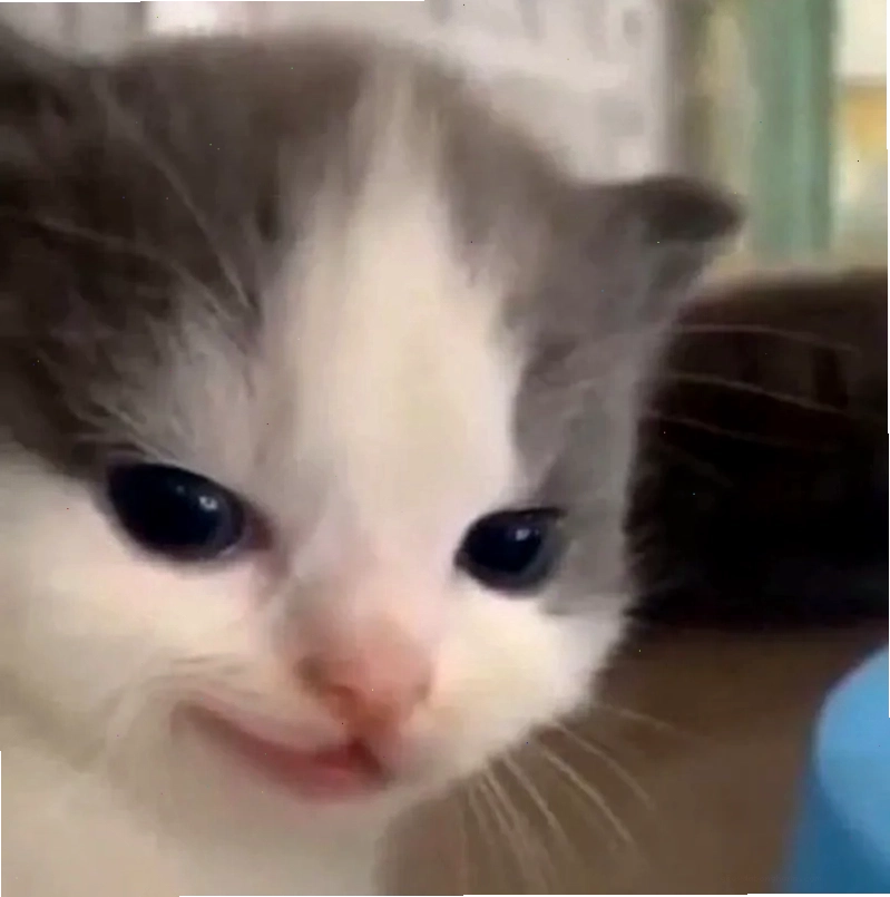 Haha meme sound thú vị, làm tăng trải nghiệm hài hước