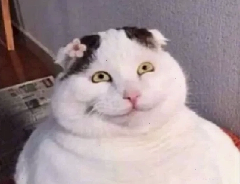 Haha no meme mang lại tiếng cười bất ngờ