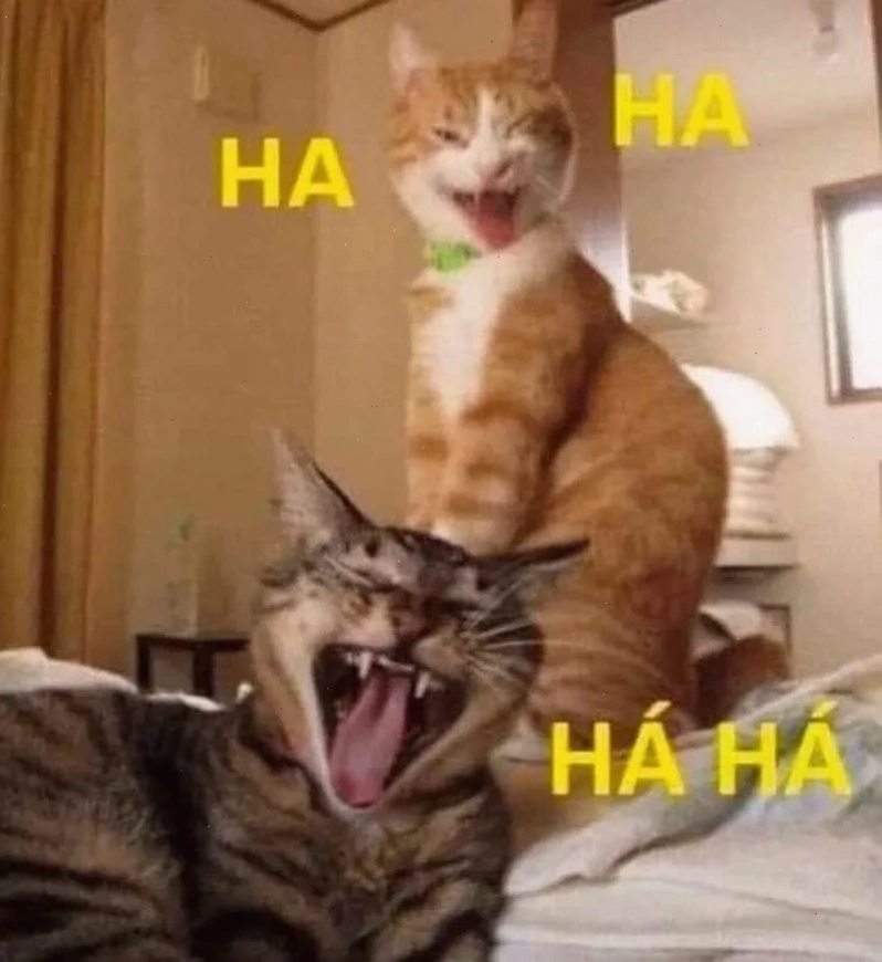 Haha noob meme hài hước, đậm chất vui nhộn
