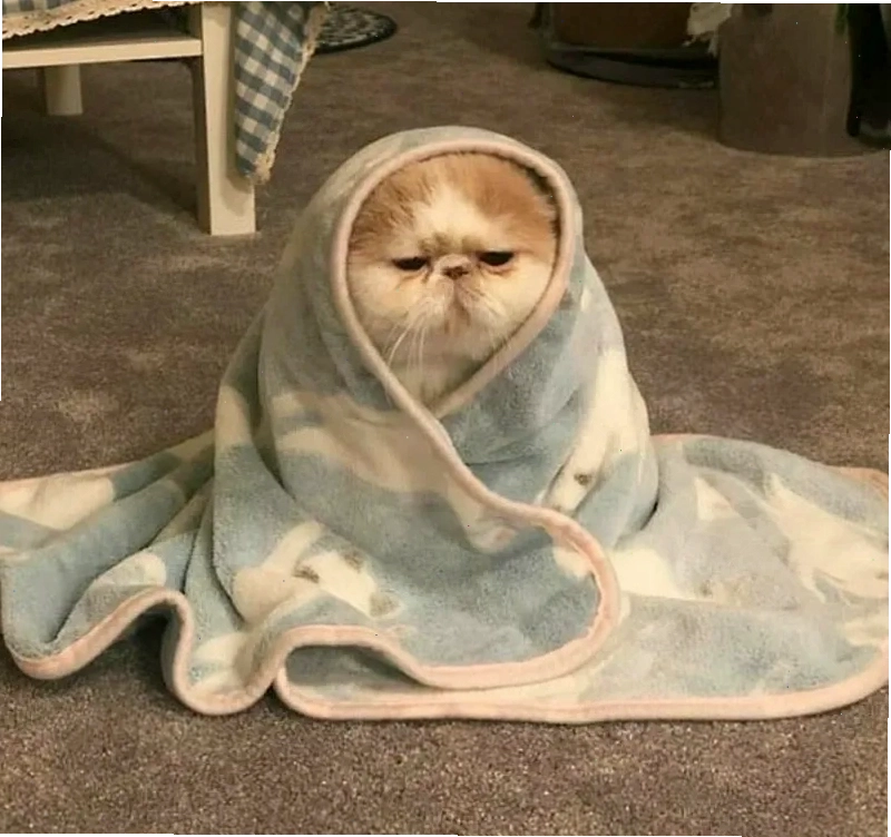 Haha ok meme thú vị và gây ấn tượng ngay từ đầu