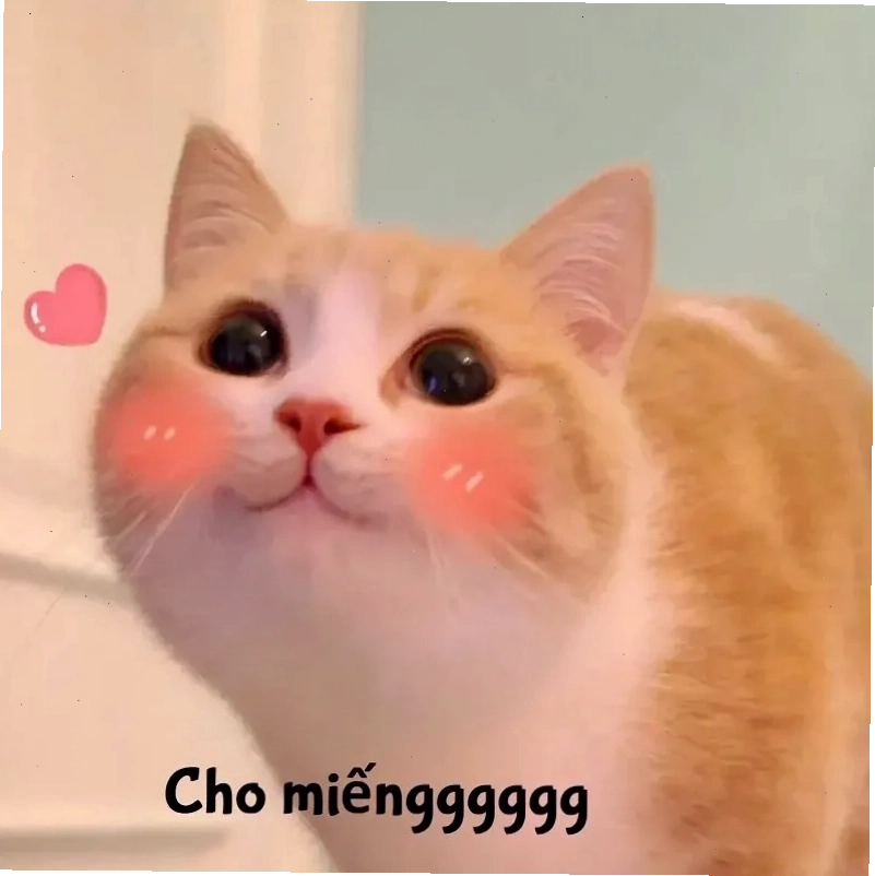 Haha okay meme nhẹ nhàng nhưng siêu hài hước