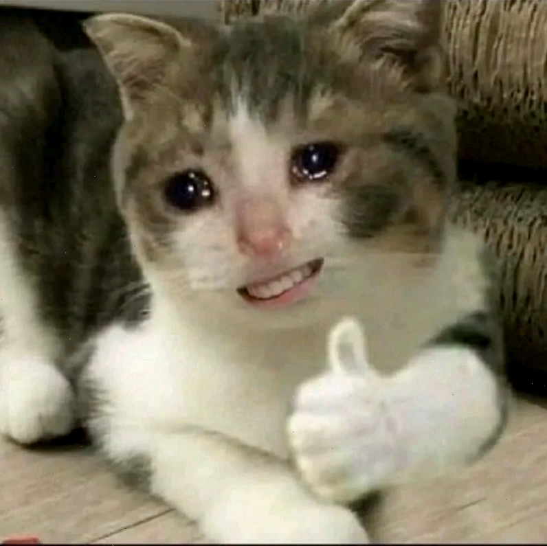 Haha yes meme coin độc đáo với sự hài hước sáng tạo