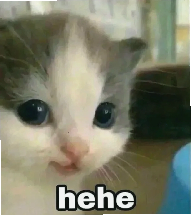 Haha yes meme thú vị và dễ dàng làm bạn bật cười