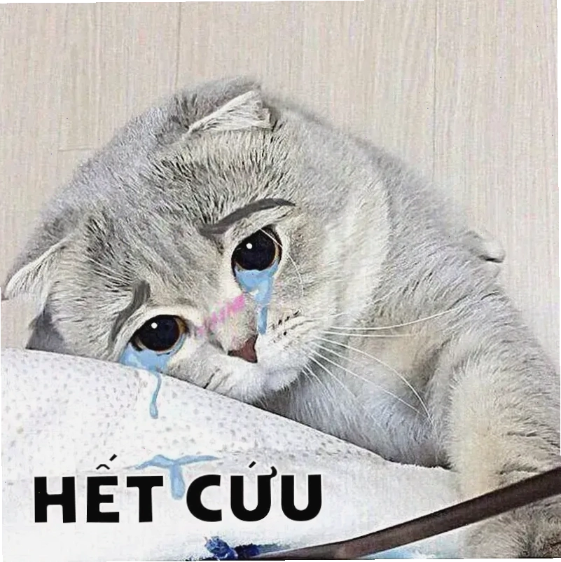 Hình ảnh meme chịu thua với thái độ buông bỏ hài hước