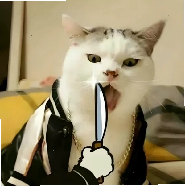 Hình ảnh mèo cầm dao meme thể hiện sự đe dọa