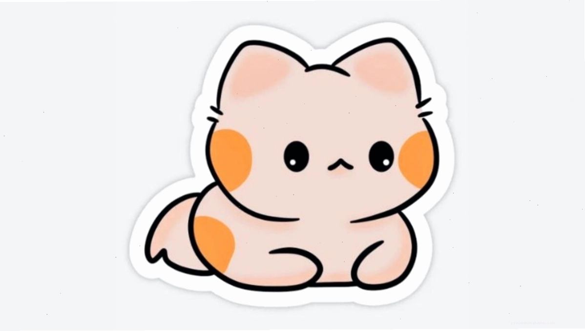 Hình nền mèo chibi mập đáng yêu với vẻ mặt ngộ nghĩnh
