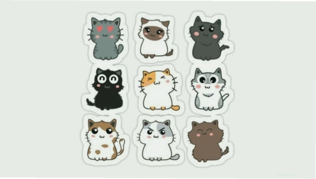 Hình nền mèo chibi phong cách Kawaii với phụ kiện dễ thương