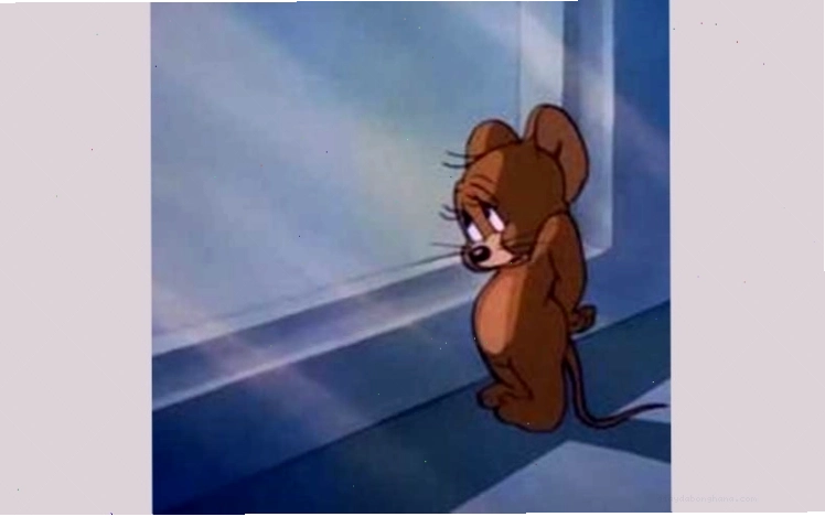 Jerry ngượng ngùng trong một meme