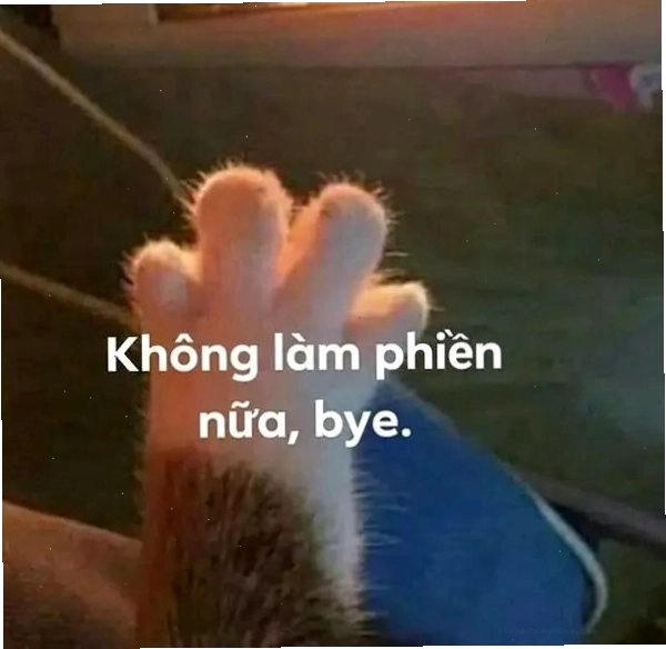 Kho ảnh meme bye đa dạng