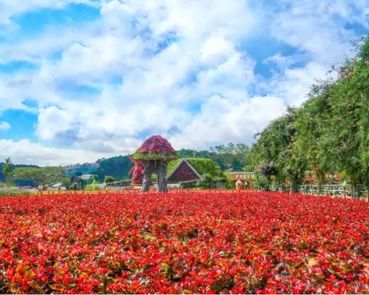 Không gian tràn ngập sắc hoa tại Fresh Garden Đà Lạt
