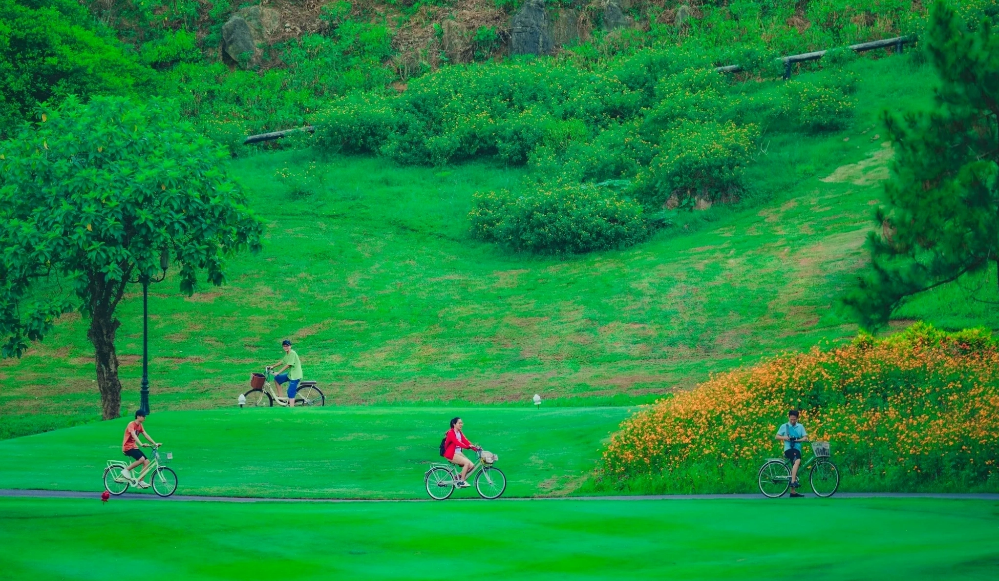 Khu cắm trại Green Pine Camping giữa thiên nhiên Ninh Bình