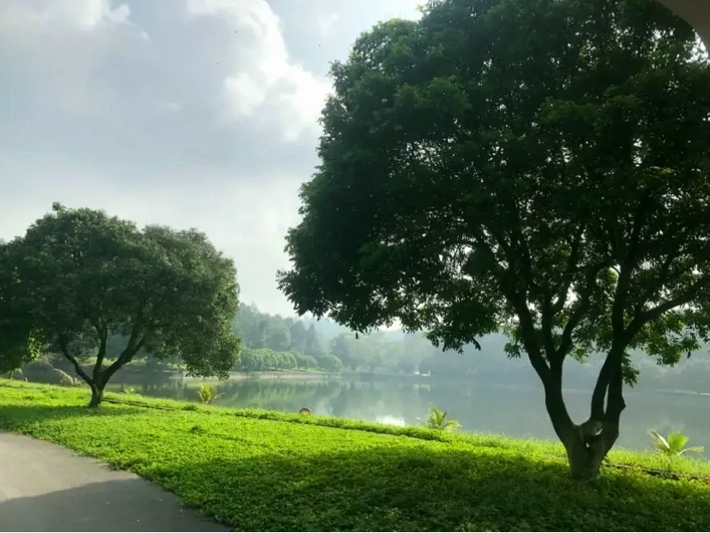 Khung cảnh bình yên bên trong K9 Đá Chông