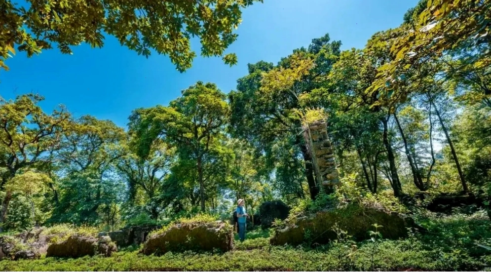 Khung cảnh thiên nhiên hùng vĩ tại Vườn quốc gia Ba Vì