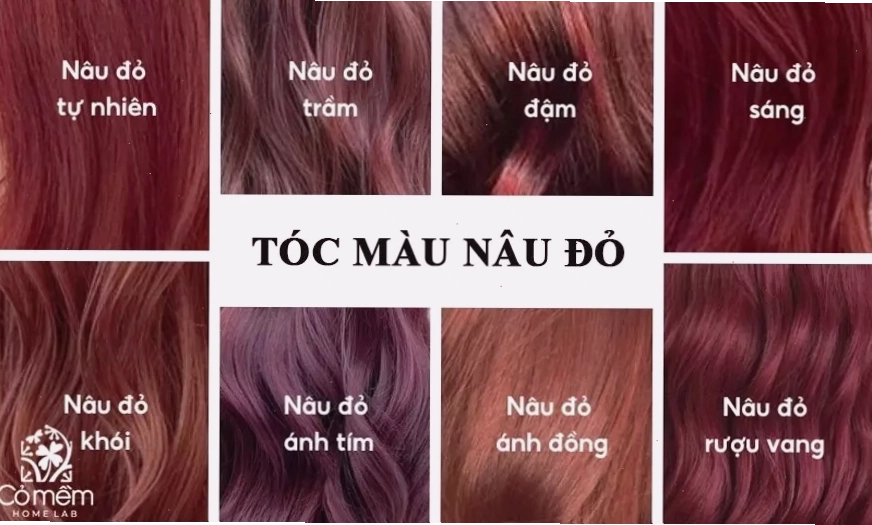 Kiểu tóc bob ngắn nhuộm màu nâu đỏ ánh tím trẻ trung