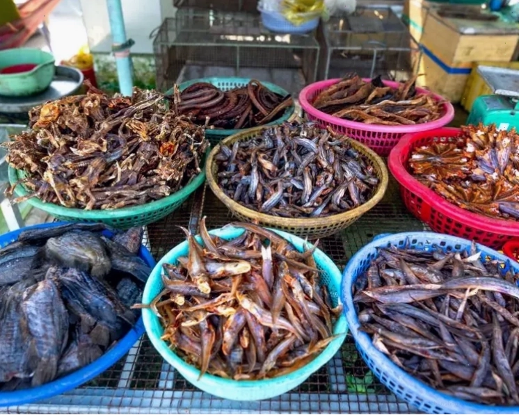 Làng Nổi Tân Lập, Long An với cảnh quan sông nước đặc trưng