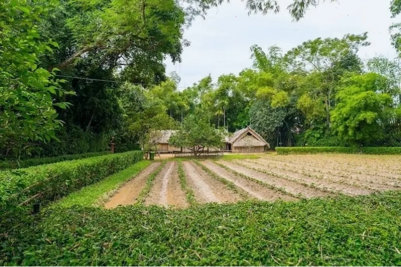 Làng Sen quê Bác là địa điểm du lịch Nghệ An mang đậm giá trị lịch sử và văn hóa