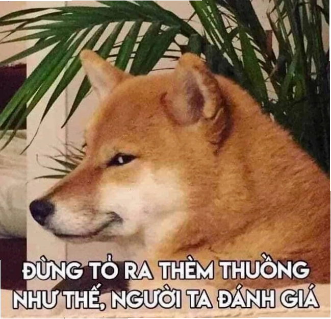 Meme 