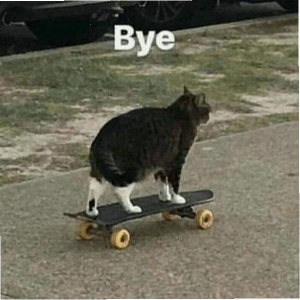 Meme bye dễ thương