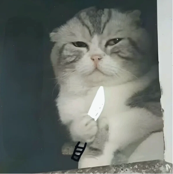 Meme cầm dao ngầu với phong thái 'chất chơi'