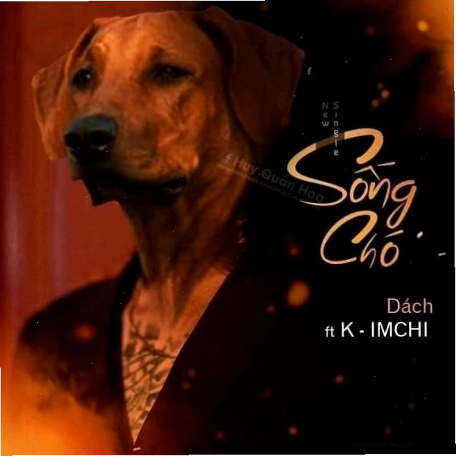 Meme chó cười với biểu cảm hài hước