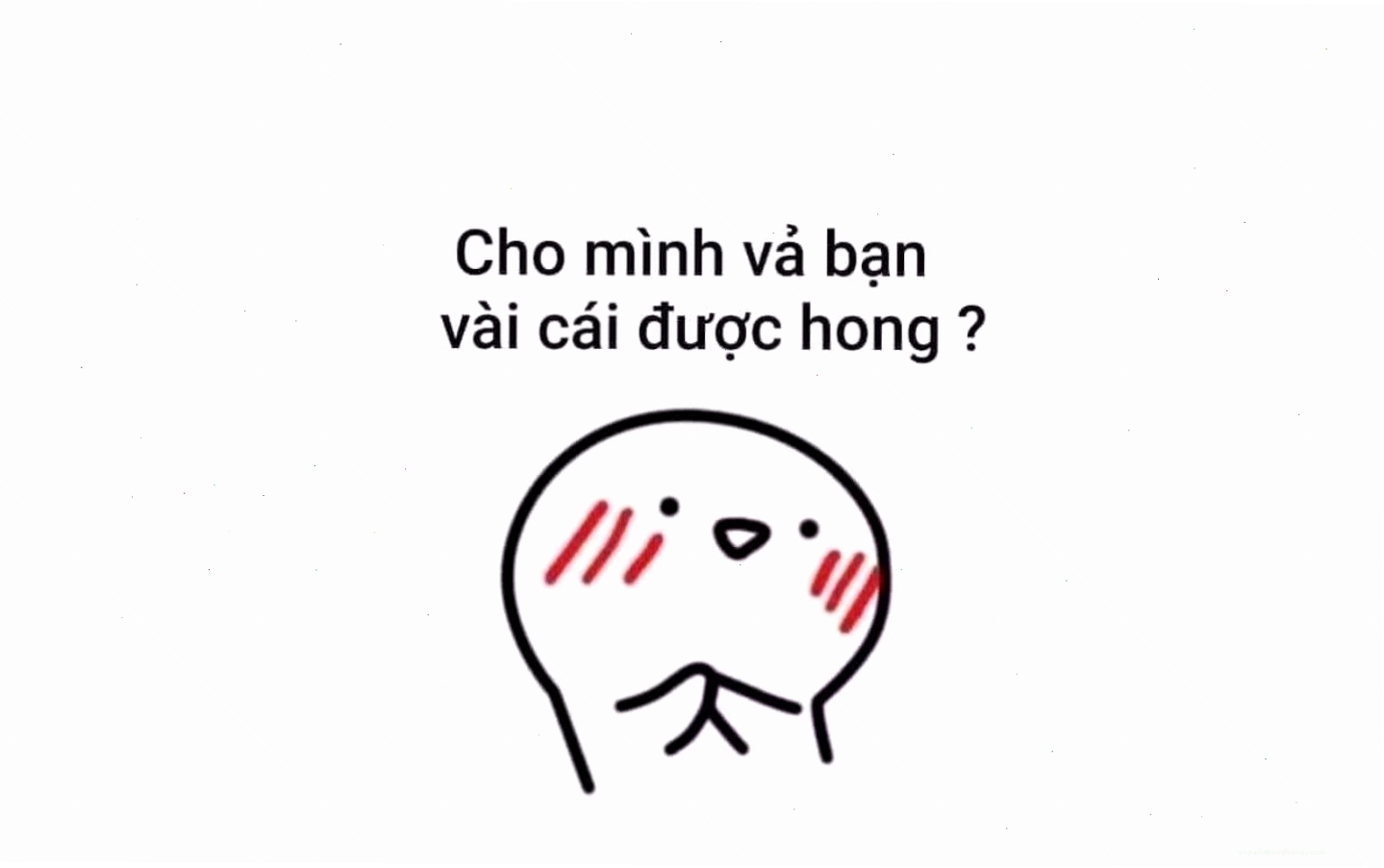 Meme chó mèo cùng nhau tạo dáng