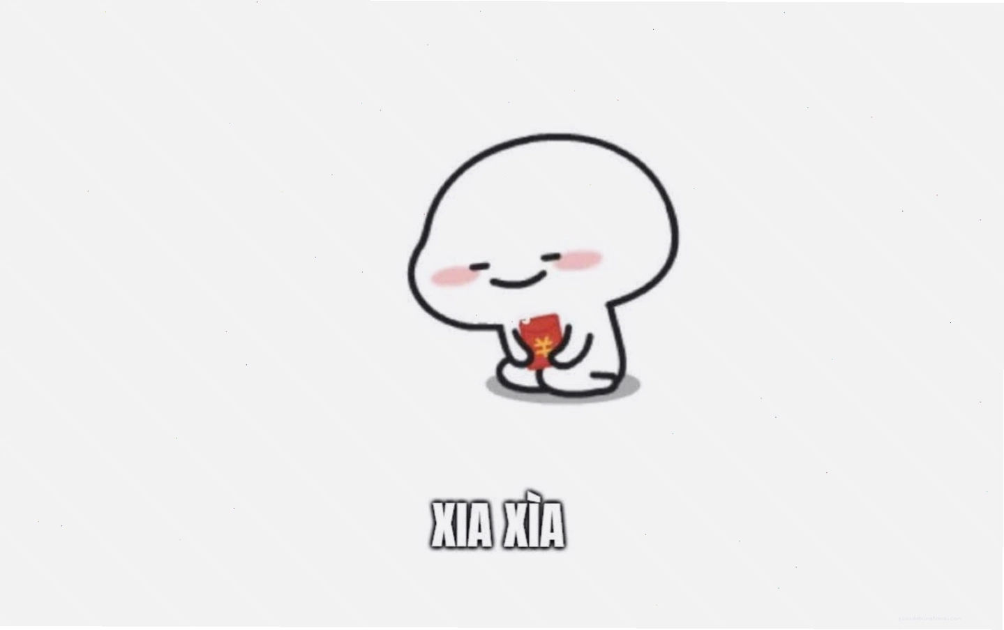 Meme chó mèo trong các hoạt động thường ngày
