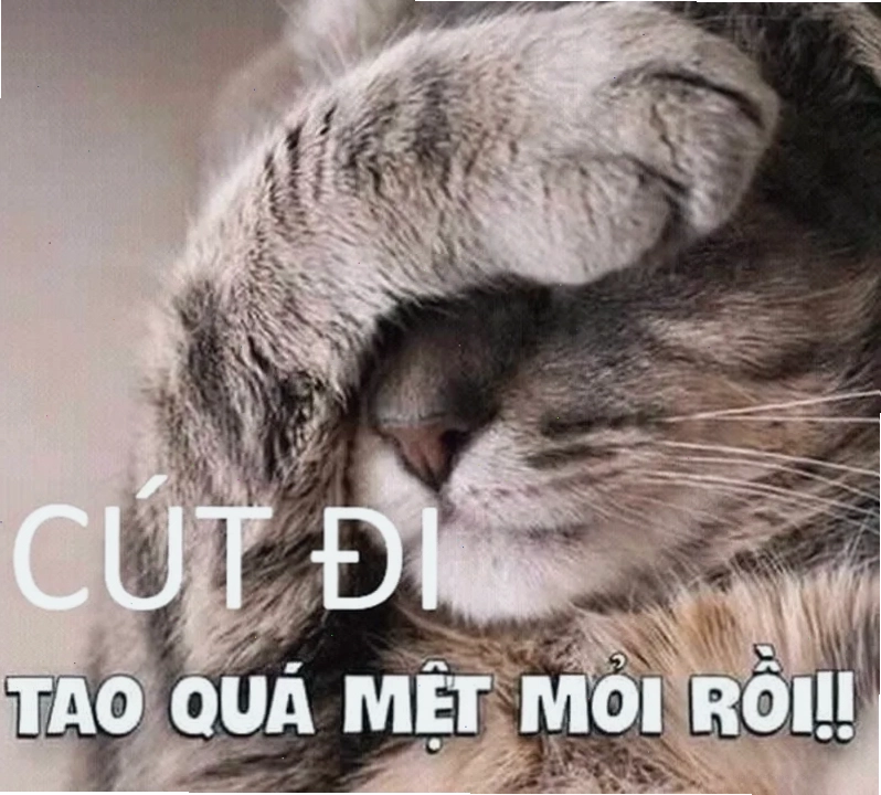 Meme cút với các biểu cảm đa dạng, phù hợp với nhiều tình huống giao tiếp