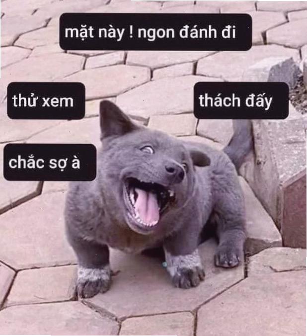 Meme đấm gây cười