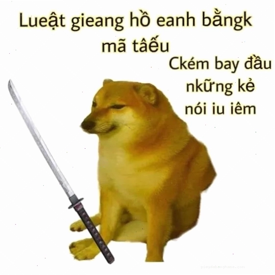 Meme đấm mèo cực đáng yêu