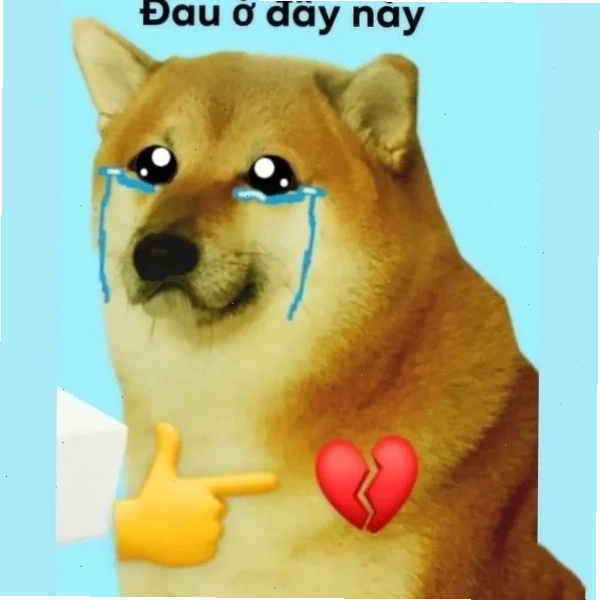 Meme đau tim với hình ảnh chú chó Shiba biểu cảm đáng yêu