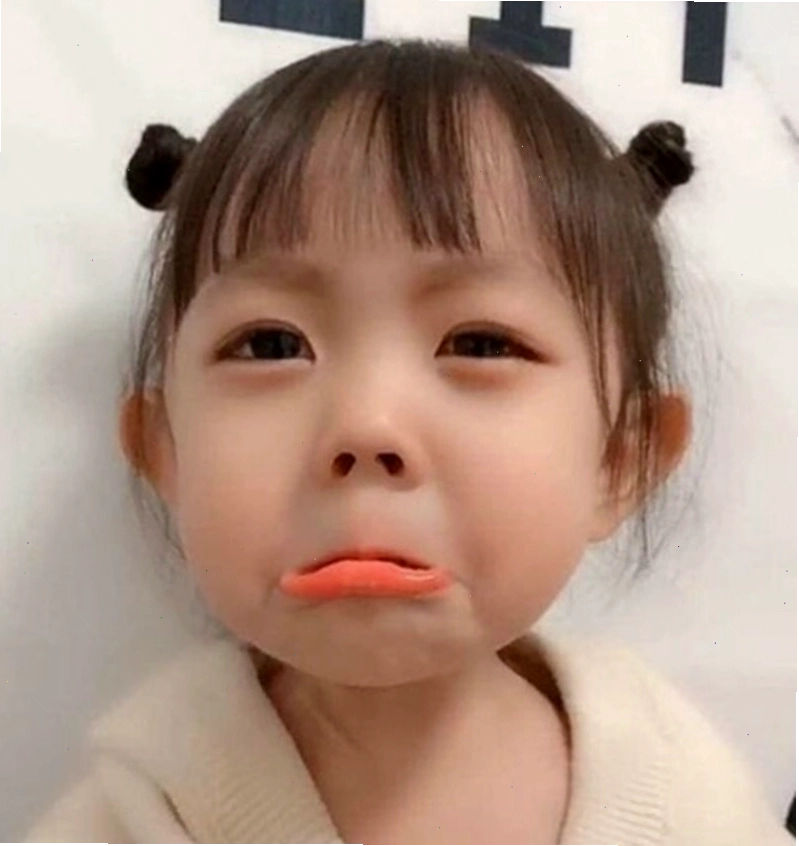 Meme động vật khóc với vẻ mặt đáng yêu