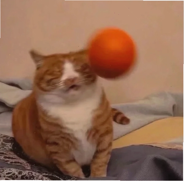 Meme ê 10 và cách ứng xử thông minh