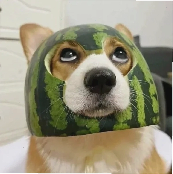 Meme ê 9 thể hiện sự khó chịu nhẹ