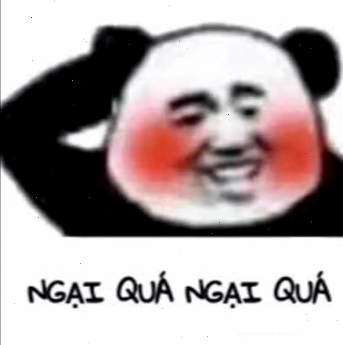 Meme gãi đầu ngộ nghĩnh