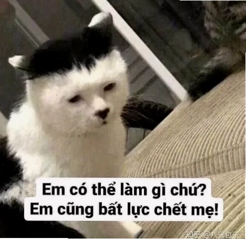 Meme gương mặt thất vọng với biểu cảm cực rõ nét sau một chuyện không như ý